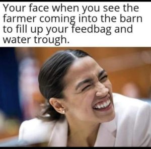 Stupid Bar Memes 44dfd41e37e9b95f