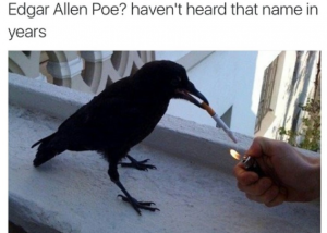 Stupid Bar Memes 46557b8255da808c