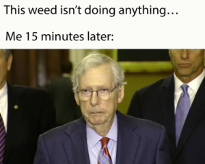 Stupid Bar Memes 47f0cf592c7ed876