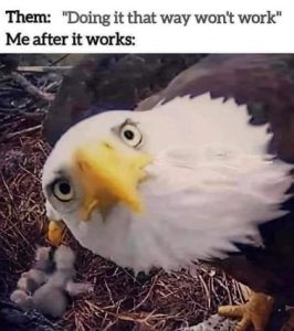 Stupid Bar Memes 4932e46e83af7c97