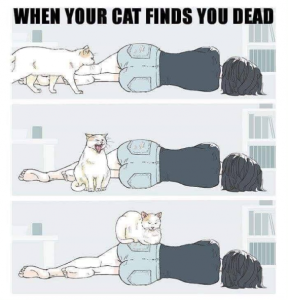 Stupid Bar Memes 4d8d9e01d2a5e190