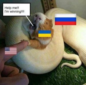 Stupid Bar Memes 51413e74f09781f7