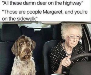 Stupid Bar Memes 523392460bd8f36f