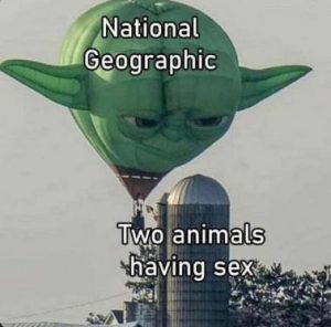 Stupid Bar Memes 55df61ee3ca648cb