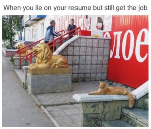 Stupid Bar Memes 58bfd859003874f9