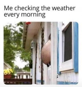 Stupid Bar Memes 59773a30e79c4151