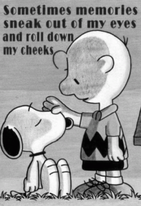 Stupid Bar Memes 5bce72729efcc17b