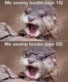 Stupid Bar Memes 5d85369f53f3b05c