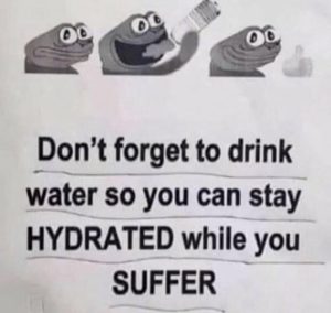 Stupid Bar Memes 5f06b41c1091f3b2