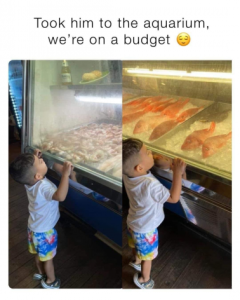 Stupid Bar Memes 6121a236cfc2dad4