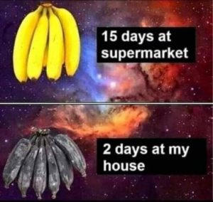 Stupid Bar Memes 61ae5eea6600a911