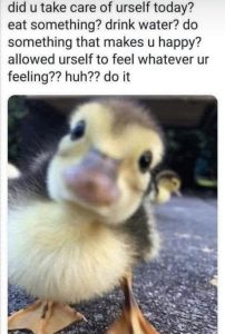 Stupid Bar Memes 62877be71fba2b66