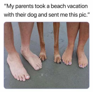 Stupid Bar Memes 64dfbac3a1127