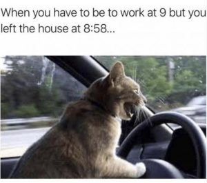 Stupid Bar Memes 68c831f4ba516f0c