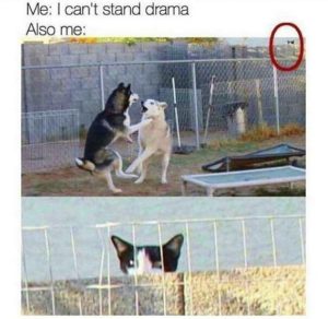 Stupid Bar Memes 694e7953527f7ea3