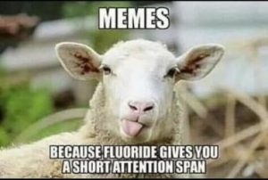 Stupid Bar Memes 6a4d795de3f6123a