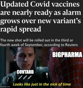 Stupid Bar Memes 6ac5a048a8b5c2ed