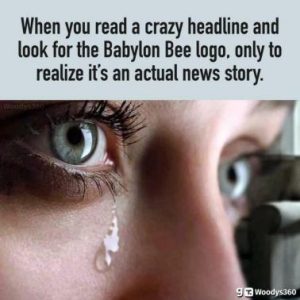 Stupid Bar Memes 6ebb33c08edbcad3