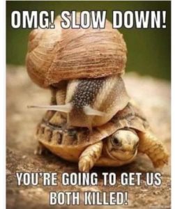 Stupid Bar Memes 732f4d8d330ca6c2