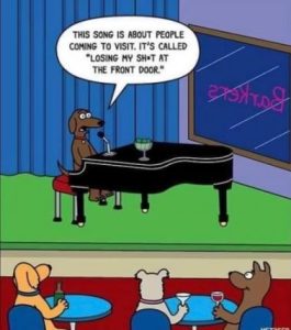 Stupid Bar Memes 7441c61e54bbcde1