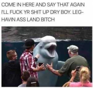 Stupid Bar Memes 76b7e4d1a04d1c6b