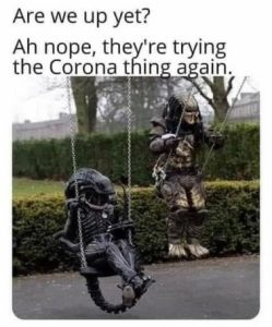 Stupid Bar Memes 79a843b878d4af3c