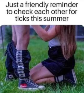 Stupid Bar Memes 8014b1f425454ddf