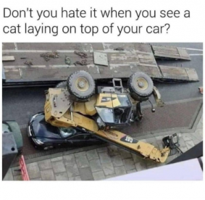 Stupid Bar Memes 80a63d9ce120ad2d