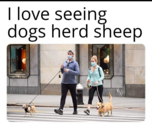 Stupid Bar Memes 8838d1fefbc852ed