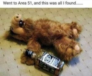 Stupid Bar Memes 89e17e554a8612ea