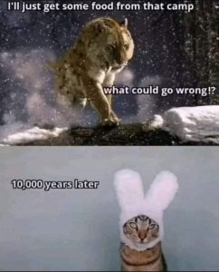 Stupid Bar Memes 8bS9yWc
