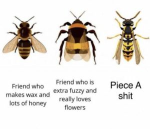 Stupid Bar Memes 8da84736ad9d3e85