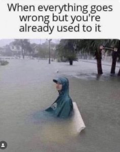 Stupid Bar Memes 8deb8bd72130a6f9