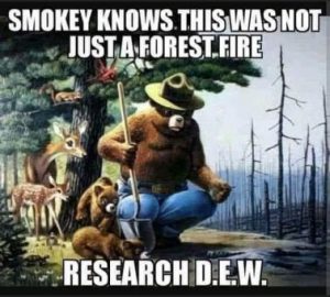 Stupid Bar Memes 8e69287d33d9543a