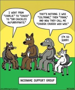 Stupid Bar Memes 8ff8f8df52f1d6a8