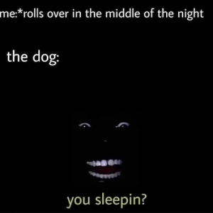 Stupid Bar Memes 8l7q21I