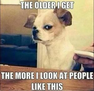 Stupid Bar Memes 929b3218c88c9722