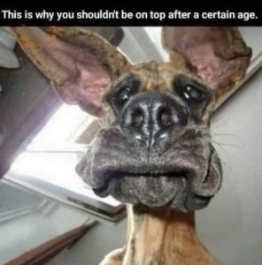 Stupid Bar Memes 9665d35c8fb7cce9