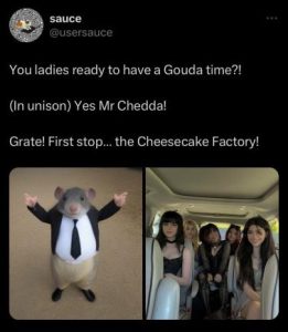 Stupid Bar Memes 9c66a0828345b029