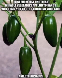 Stupid Bar Memes 9caadaad69d141b2