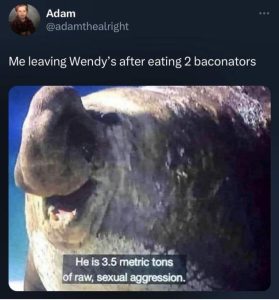 Stupid Bar Memes A9cfaE4