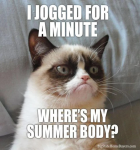 Stupid Bar Memes CatMemeQantinemmerod