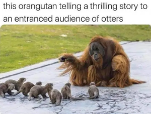 Stupid Bar Memes DARs08s01s23s1s33