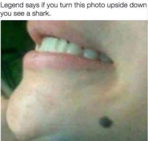 Stupid Bar Memes FBsIMGs1690572898688