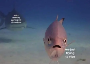 Stupid Bar Memes LIbgG8e
