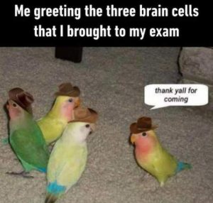 Stupid Bar Memes WMAs08s20s23s1sLEADs1s15