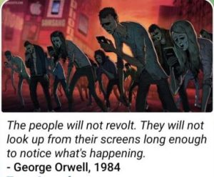 Stupid Bar Memes a0c27cfb540ce859
