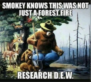 Stupid Bar Memes a2614c8e60906254