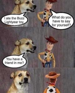 Stupid Bar Memes a32d6ce22874bff2