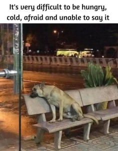 Stupid Bar Memes a340a79be25ae406